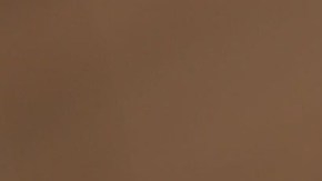 Revisar el estatus en línea, presentar declaraciones precisas y responder rápidamente son pasos clave para evitar retrasos.