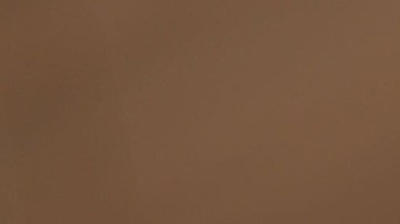 Revisar el estatus en línea, presentar declaraciones precisas y responder rápidamente son pasos clave para evitar retrasos.