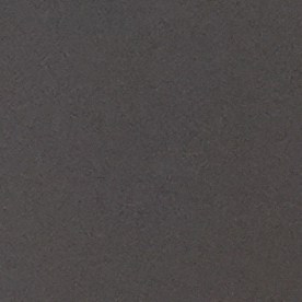 Robert F. Kennedy Jr.