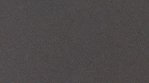 Robert F. Kennedy Jr.