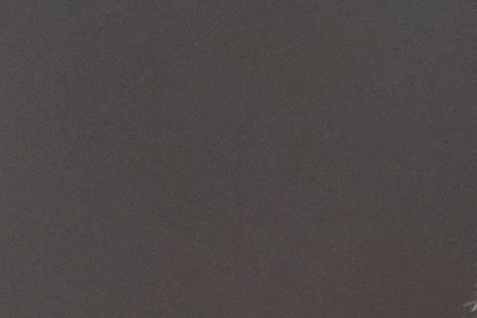 Robert F. Kennedy Jr.