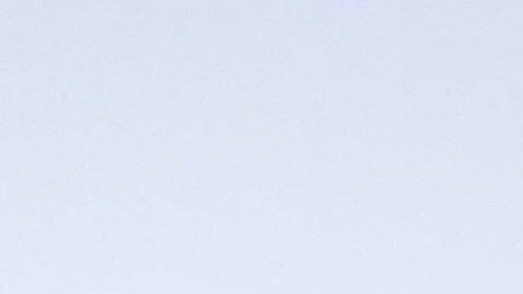 Savannah Guthrie se mantiene en Arizona mientras las autoridades investigan la desaparición de su madre.