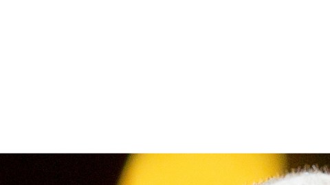 Phill Collins, Laury Hill y Shakira entre los nominados al Salón de la Fama del Rock & Roll este 2026.