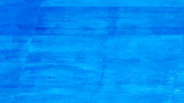 Las diferencias internas impidieron que la producción avanzara pese al interés inicial de la plataforma