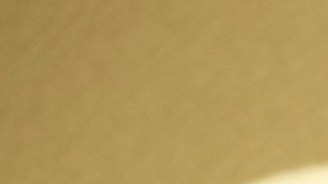 Steven Spielberg siempre fue consciente del homenaje que se le hacía a través del personaje de Van Der Beek en 'Dawson's Creek'.