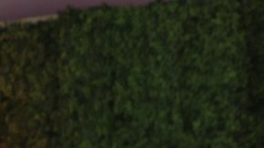 La cantante mexicana Thalía en la alfombra magenta de Premio Lo Nuestro.