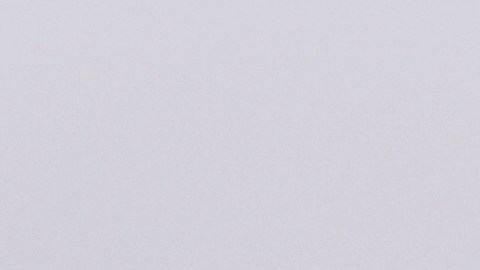 Tormenta invernal NYC