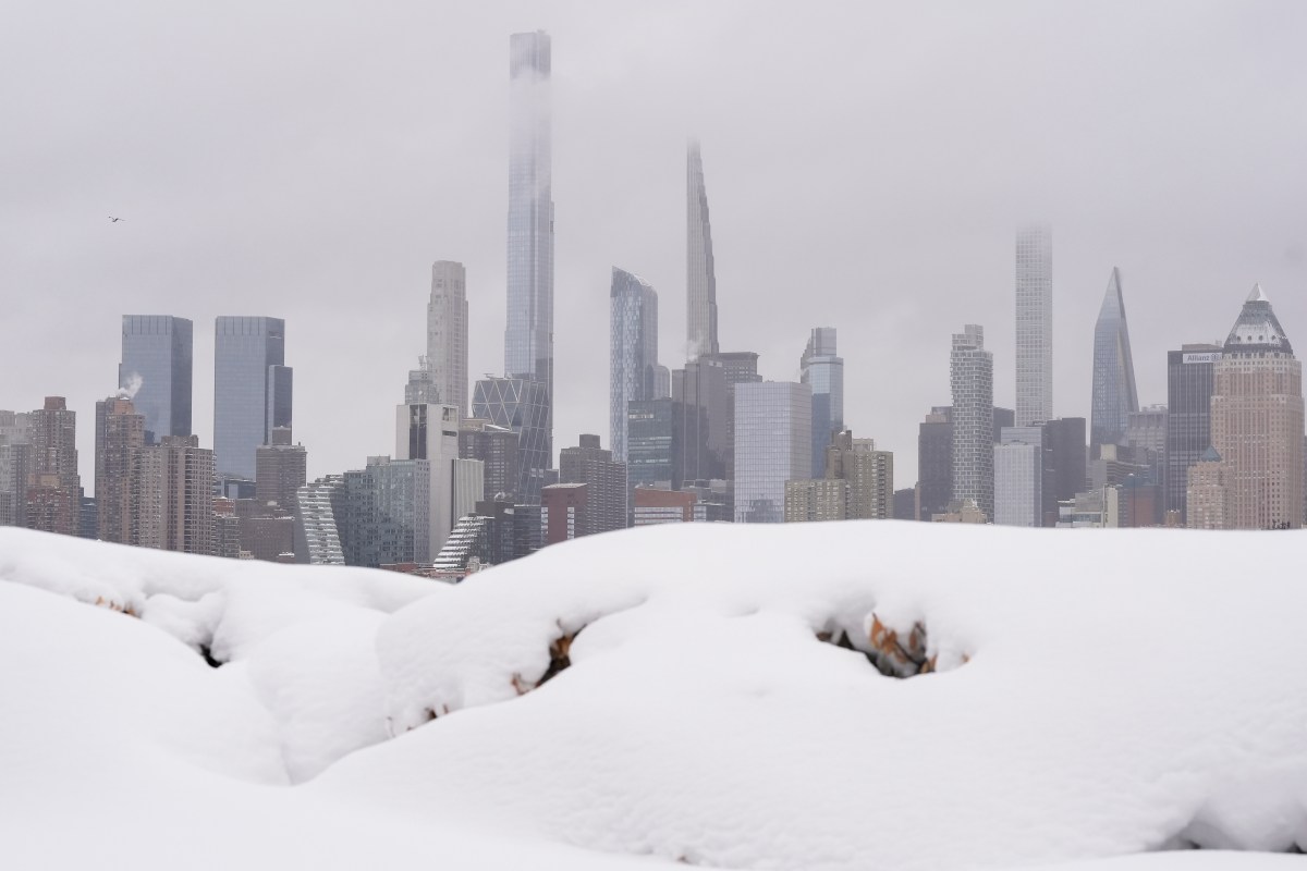 Tormenta histórica en Nueva York: más de 12 pulgadas de nieve, estado de emergencia y miles sin luz