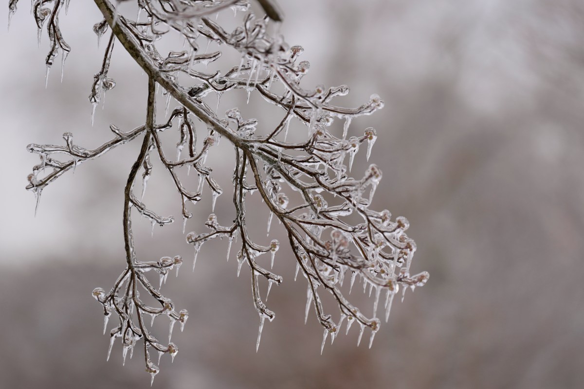 Tormenta invernal amenaza el noreste de EE.UU. antes del Día de los Presidentes y podría afectar viajes