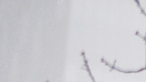 Tormenta invernal NYC