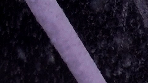 Tormenta invernal NY