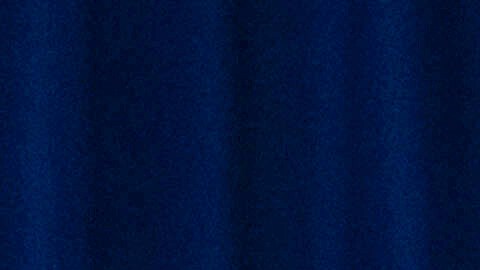 Tricia McLaughlin, renuncia como vocera de DHS.