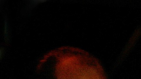 Willie Colón murió este sábado 21 de febrero a los 75 años.