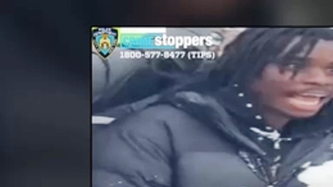 Cuatro sospechosos de lanzar nieve a agentes NYPD.