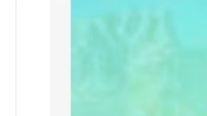 Brianna Mohr tenía 21 años.