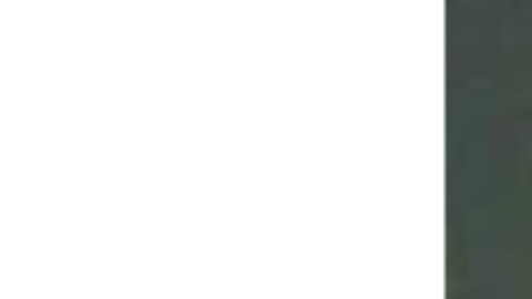 Fotografía divulgada por el DHS del inmigrante mexicano que supuestamente atacó a la policía.