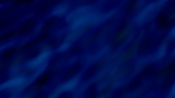 Según el experto Carlos Álvarez Boada, la nutrición basada en ciencia es nuestra mejor defensa. Desde el poder del té verde hasta la cúrcuma, hoy te compartimos los imprescindibles para una reparación celular profunda.