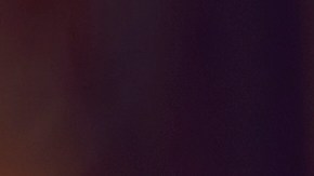 Entre los alimentos que se entregarán durante la jornada están: frutas, verduras, arroz, pasta, frijoles, leche, carne, huevos, sopas y enlatados.