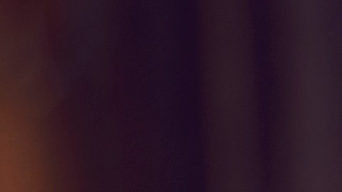 Entre los alimentos que se entregarán durante la jornada están: frutas, verduras, arroz, pasta, frijoles, leche, carne, huevos, sopas y enlatados.