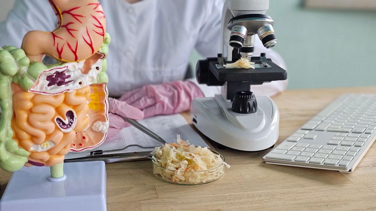 Repara tu microbiota: el secreto de los alimentos para una vida saludable y feliz