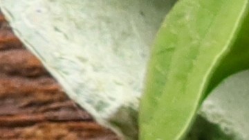 Detrás de cada ingrediente, desde la carne fresca hasta los quesos artesanales, existe un mundo invisible.