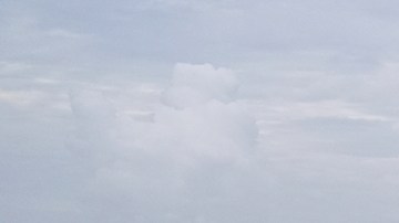 Migrantes detenidos durante meses en centros de ICE piden ser deportados ante encierros prolongados y malas condiciones