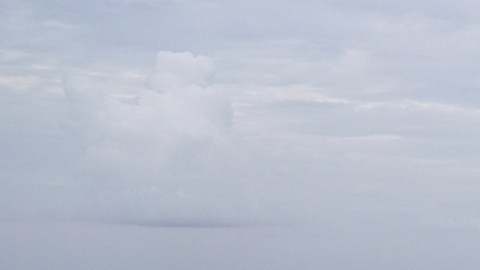 Migrantes detenidos durante meses en centros de ICE piden ser deportados ante encierros prolongados y malas condiciones