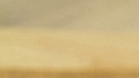 Bowl de arroz blanco y pasta penne enfriados para generar almidón resistente, técnica de biohacking nutricional para el control de la glucosa.