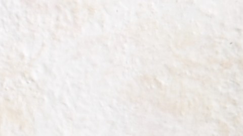 Plato de arroz frito de coliflor salteado con gambas, zanahoria y huevo, servido en un bol rústico.