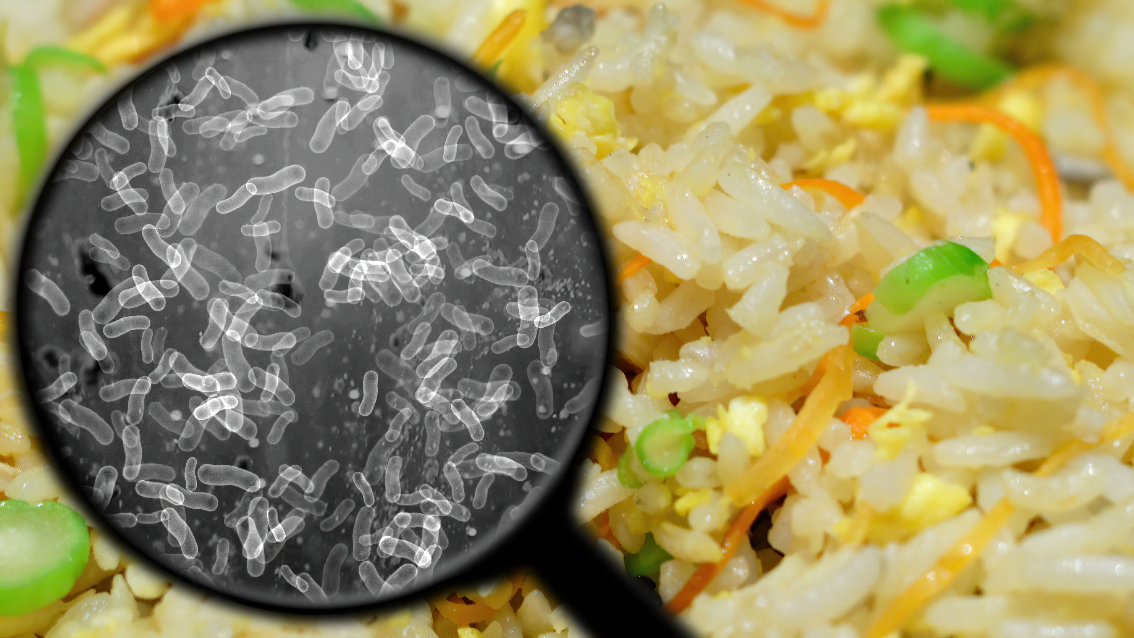 Chef mexicano revela el secreto del arroz cremoso con caldo de pollo y mantequilla
