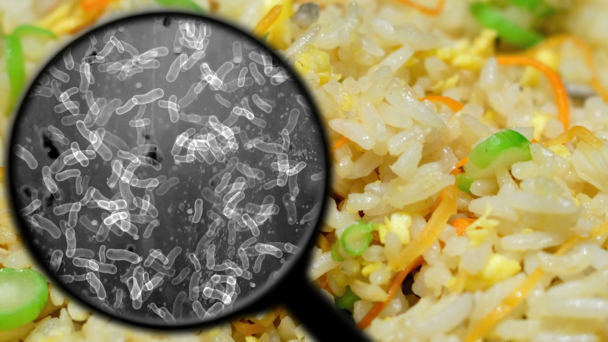 El peligro invisible: Por qué el arroz puede enfermarte aunque huela y se vea bien