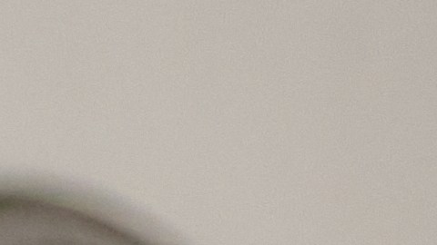 solicitar ayuda legal gratuita