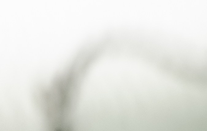 asistencia legal gratuita