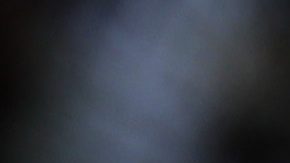 Un aficionado levanta un guante de boxeo.