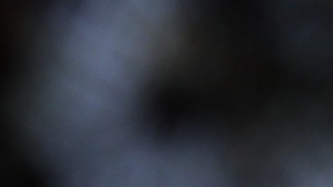 Un aficionado levanta un guante de boxeo.