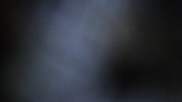 Un aficionado levanta un guante de boxeo.