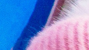 Supermercado "gratuito" en NYC patrocinado por Polymarket, una aplicación de apuestas.