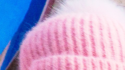 Supermercado "gratuito" en NYC patrocinado por Polymarket, una aplicación de apuestas.