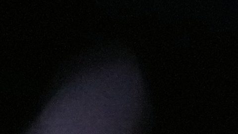 El español Carlos Alcaraz sostiene la Norman Brookes Challenge Cup tras derrotar al serbio Novak Djokovic.