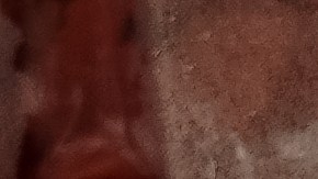 Fresh,Minced,Meat,Packed,In,Plastic,Trays,On,A,Supermarket