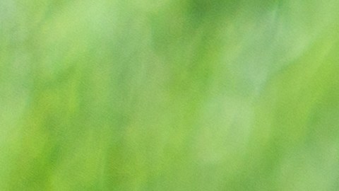 El compost, que es el producto final del proceso, es un abono orgánico que mejora la calidad de la tierra, favorece el crecimiento de las plantas y reduce la cantidad de basura.