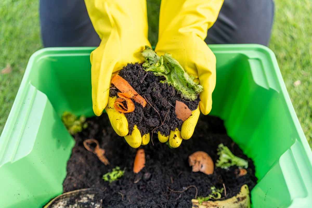 Cómo hacer compost en casa, evitar multas y aprovechar sus beneficios