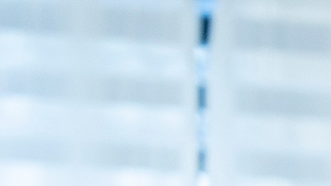 compartir facturas con tu roommate