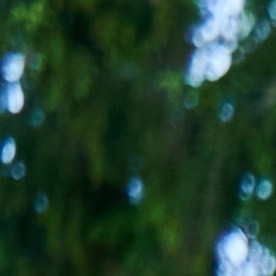 Levantar una casa con estructura de madera suele requerir menos tiempo que hacerlo con concreto o ladrillo, un beneficio que muchos valoran.