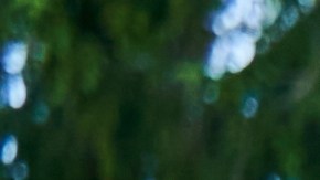 Levantar una casa con estructura de madera suele requerir menos tiempo que hacerlo con concreto o ladrillo, un beneficio que muchos valoran.