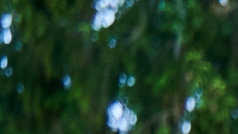 Levantar una casa con estructura de madera suele requerir menos tiempo que hacerlo con concreto o ladrillo, un beneficio que muchos valoran.