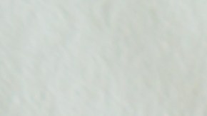 El secreto de la alta cocina: por qué el cuchillo de sierra es el mejor aliado del tomate para proteger el filo y garantizar un corte limpio sin presión."