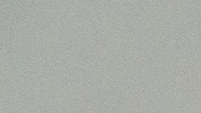 costco-acceso-membresia-robos