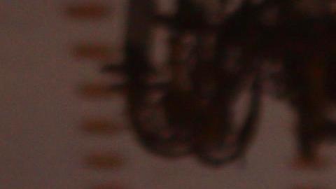 La mandataria encargada de Venezuela, Delcy Rodríguez, habla al finalizar una reunión oficial con el secretario de Energía de EE.UU., Chris Wright.