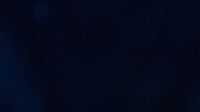 Gobernadores no asistirán a reunión con Trump en la Casa Blanca tras invitación exclusiva a republicanos